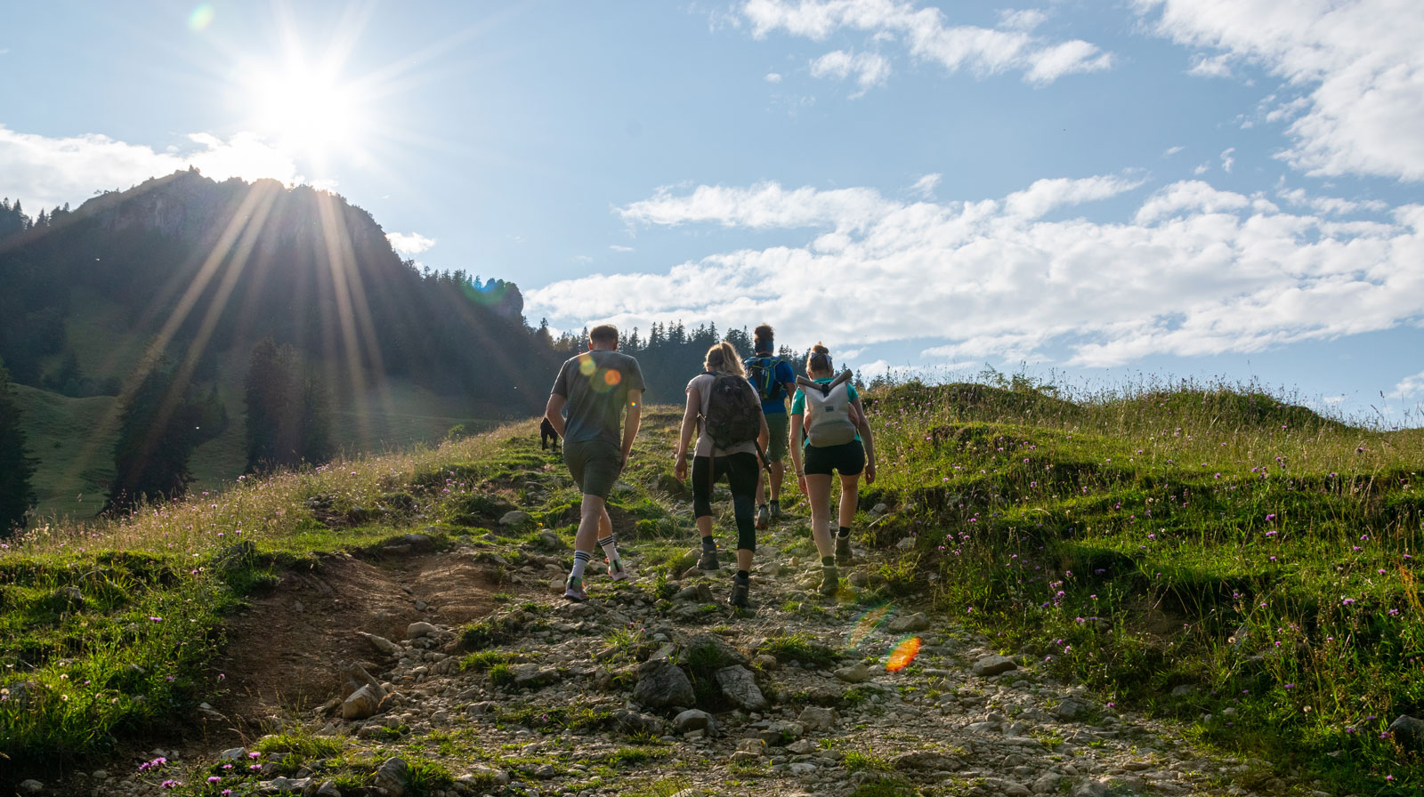 Das Team Unsere Mission von twentyfourtalents – Ihre Experten für Employer Branding und Recruiting in Rosenheim